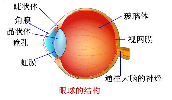 临夏州第三期医疗机构眼科医生能力提升培训班即将召开，诚邀参加！(图9)