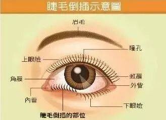兰州爱尔眼科医院邢华平主任：经常揉眼睛会影响视力，严重可失明！(图1)